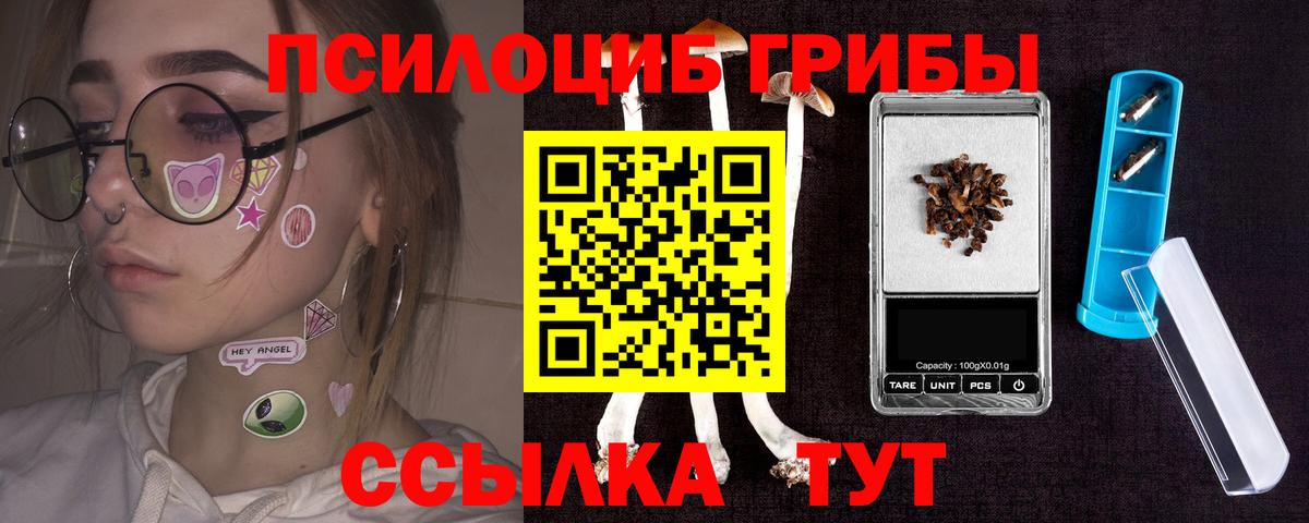 Псилоцибиновые грибы мицелий  Вход с VPN  Псилоцибиновые грибы Cubensis  Будённовск 